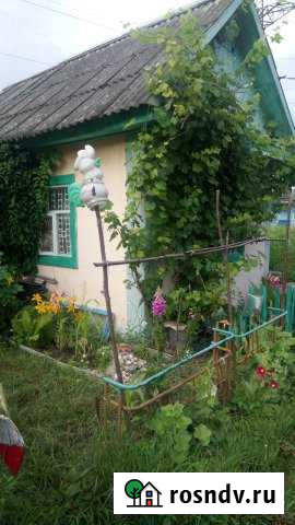 Дача 20 м² на участке 4 сот. на продажу в Людиново Людиново - изображение 1