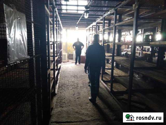 Магазин 50 кв.м. Сургут - изображение 1