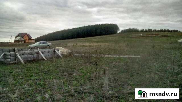 Участок ИЖС 15 сот. на продажу в Кукморе Кукмор - изображение 1