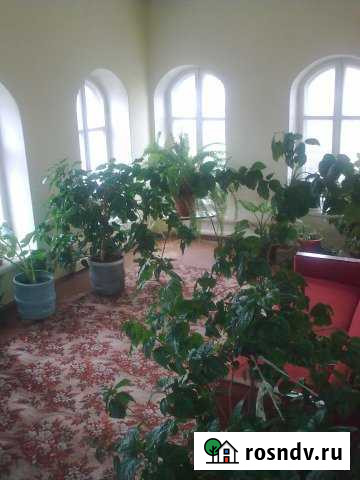 Коттедж 295 м² на участке 16 сот. на продажу в Назарово Назарово - изображение 1