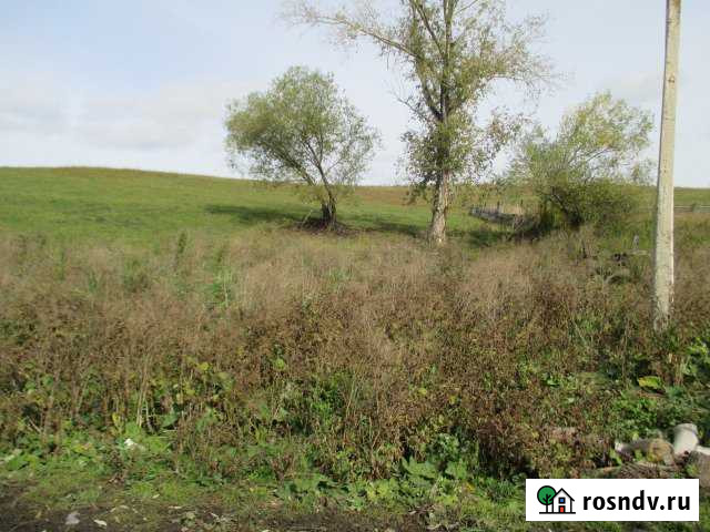 Участок ИЖС 20 сот. на продажу в Майме Республики Алтай Майма - изображение 1