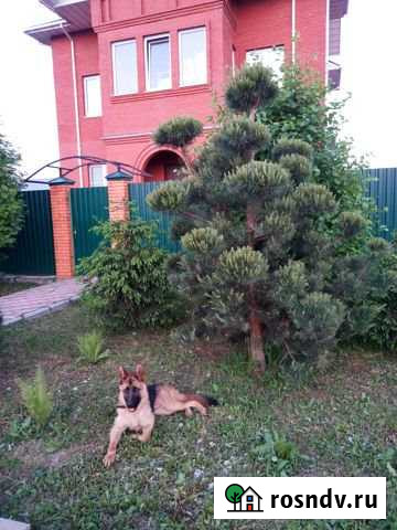 Коттедж 400 м² на участке 10 сот. на продажу в Бронницах Бронницы - изображение 1