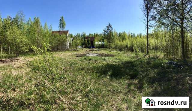 Участок СНТ, ДНП 10 сот. на продажу в Вырице Вырица - изображение 1