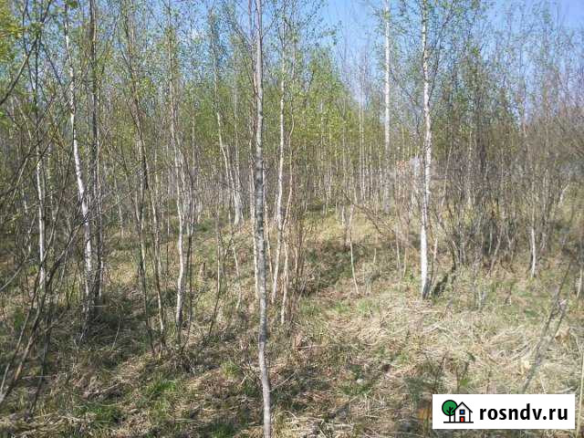 Участок ИЖС 30 сот. на продажу в Панковке Панковка - изображение 1