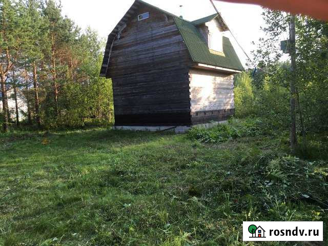 Участок СНТ, ДНП 21 сот. на продажу в Рощино Ленинградской области Рощино - изображение 1