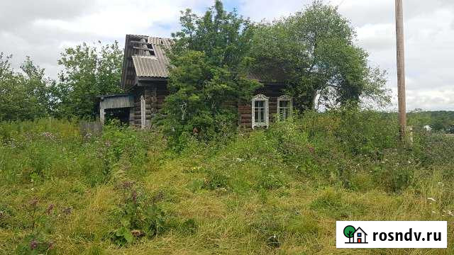 Участок ИЖС 30 сот. на продажу в Кривошеино Кривошеино - изображение 1