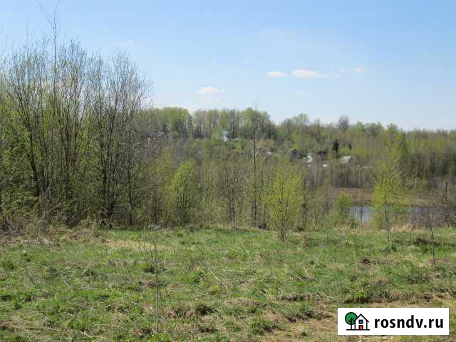 Участок СНТ, ДНП 15 сот. на продажу в Великих Луках Великие Луки - изображение 1