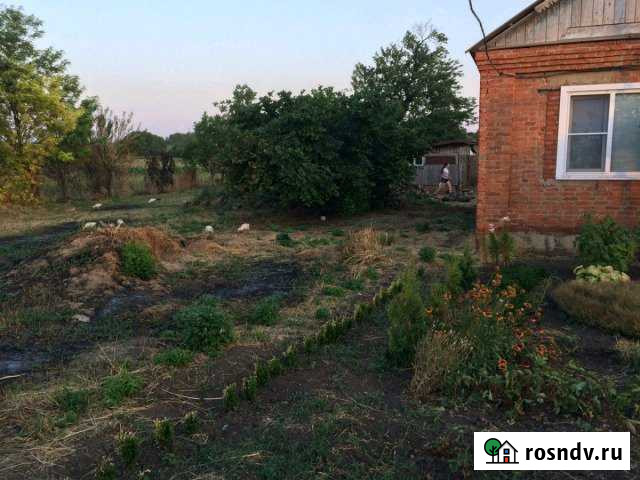 Дом 45 м² на участке 66 сот. на продажу в Ладожской Ладожская - изображение 1