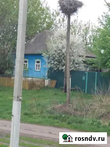 Дом 38 м² на участке 50 сот. в аренду на длительный срок в Коренево Коренево - изображение 1