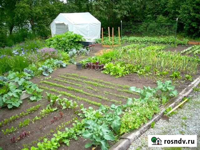 Дача 20 м² на участке 11 сот. на продажу в Пятигорске Пятигорск - изображение 1