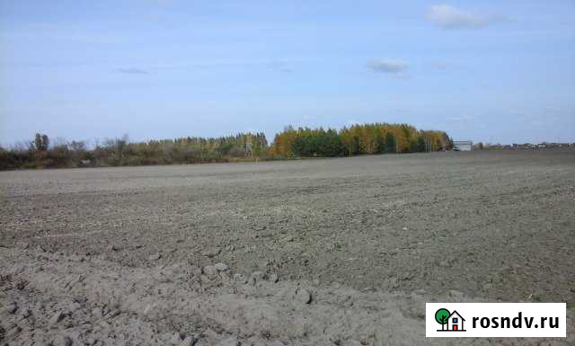 Участок СНТ, ДНП 320 сот. на продажу в Каскаре Каскара - изображение 1