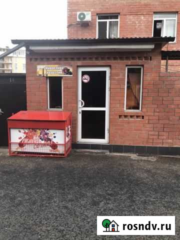 Сдаю Пивную Лавку Сочи - изображение 1