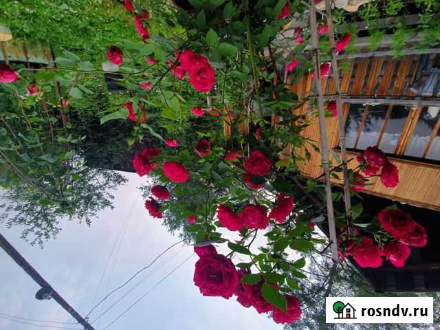 Дача 30 м² на участке 12 сот. на продажу в Бодайбо Бодайбо - изображение 1