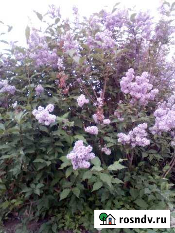 Участок ИЖС 8 сот. на продажу в Братске Братск - изображение 1