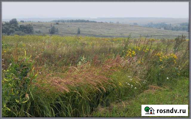 Участок ИЖС 80 сот. на продажу в Ясногорске Тульской области Ясногорск - изображение 1