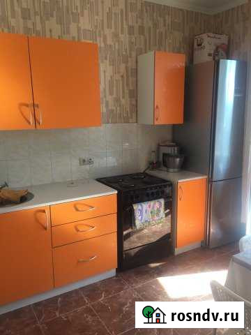 1-комнатная квартира, 47 м², 4/17 эт. в аренду на длительный срок в Пироговском Пироговский - изображение 1