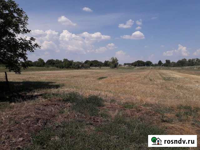 Участок ИЖС 100 сот. на продажу в Красном Краснодарского края Красное - изображение 1