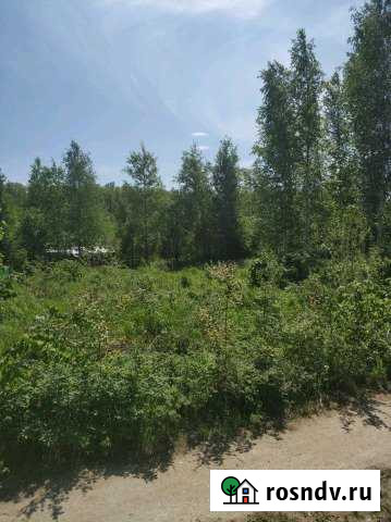 Участок СНТ, ДНП 17 сот. на продажу в Реже Реж - изображение 1