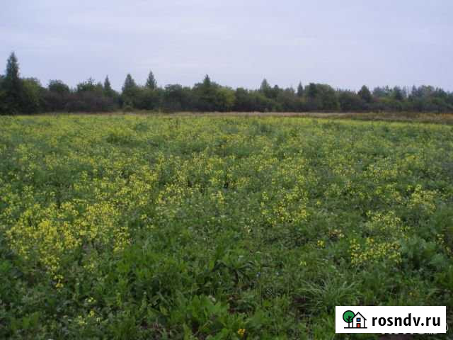 Участок ИЖС 45 сот. на продажу в Веневе Венев - изображение 1