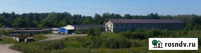 Производственное помещение, 3000 кв.м. Рыбинск - изображение 1