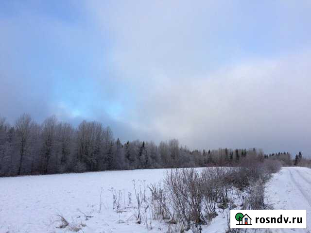 Участок СНТ, ДНП 210 сот. на продажу в Ляскеле Ляскеля - изображение 1