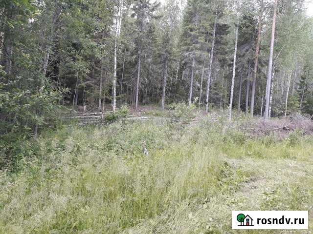 Участок СНТ, ДНП 10 сот. на продажу в Сыктывкаре Сыктывкар - изображение 1