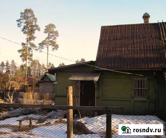 Дом 50 м² на участке 3.5 сот. на продажу в Вырице Вырица - изображение 1