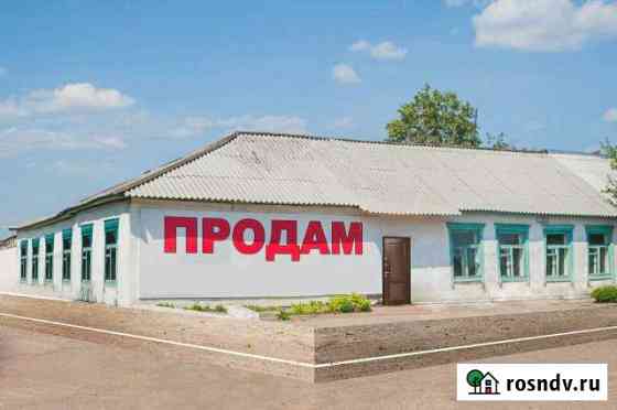 Дом 300 м² на участке 1 сот. на продажу в Бородино Бородино