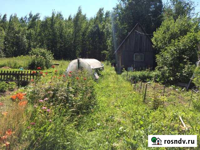 Дача 20 м² на участке 12 сот. на продажу в Стрежевом Стрежевой - изображение 1