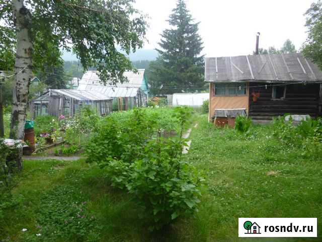 Дача 50 м² на участке 5 сот. на продажу в Шелехове Шелехов - изображение 1