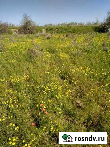 Участок СНТ, ДНП 118 сот. на продажу в Началово Началово - изображение 1