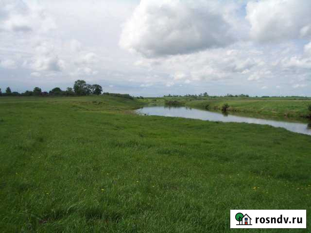 Участок СНТ, ДНП 8500 сот. на продажу в Гавриловом Посаде Гаврилов Посад - изображение 1