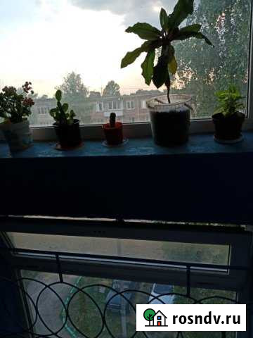 2-комнатная квартира, 45 м², 5/5 эт. на продажу в Ефремове Ефремов - изображение 1