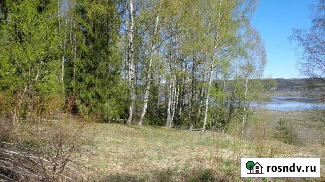 Участок ИЖС 905 сот. на продажу в Советске Кировской области Советск - изображение 1