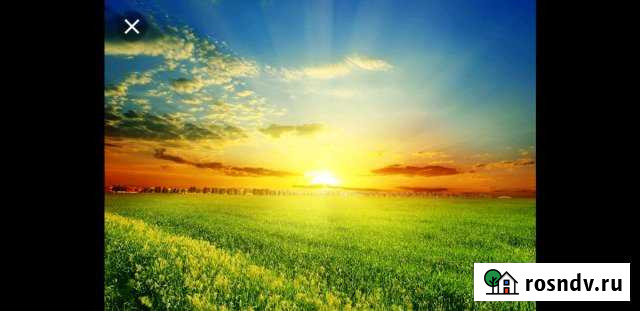 Участок СНТ, ДНП 8000 сот. на продажу в Колосовке Колосовка - изображение 1