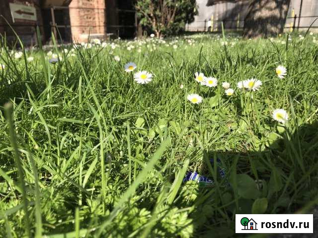 Участок СНТ, ДНП 12 сот. на продажу в Щёлково Щёлково - изображение 1