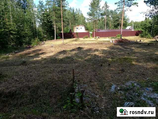 Участок СНТ, ДНП 10 сот. на продажу в Сиверском Сиверский - изображение 1