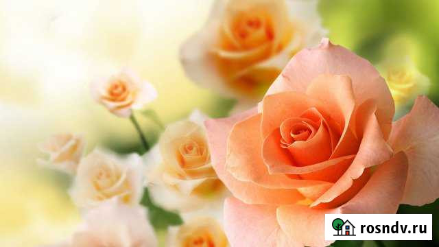 Участок ИЖС 18 сот. на продажу в Жилетово Жилетово - изображение 1