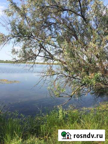 Участок СНТ, ДНП 35 сот. на продажу в Елкине Елкин - изображение 1