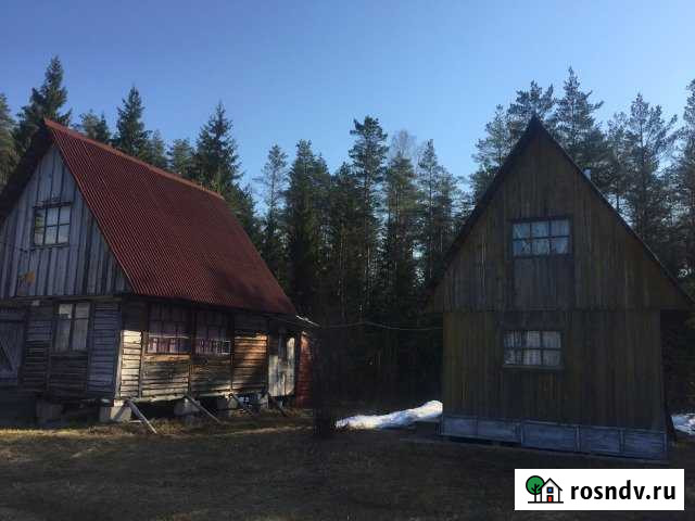 Участок СНТ, ДНП 600 сот. на продажу в Рощино Ленинградской области Рощино - изображение 1