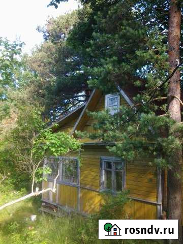 Дача 46 м² на участке 10 сот. на продажу в Лесколово Лесколово - изображение 1