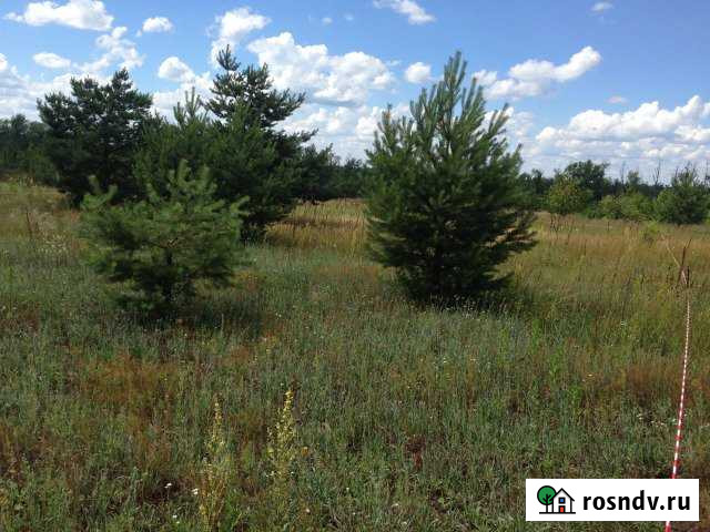 Участок СНТ, ДНП 10 сот. на продажу в Рамони Рамонь - изображение 1