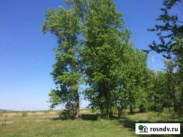 Участок СНТ, ДНП 3010 сот. на продажу в Пензе Пенза - изображение 1