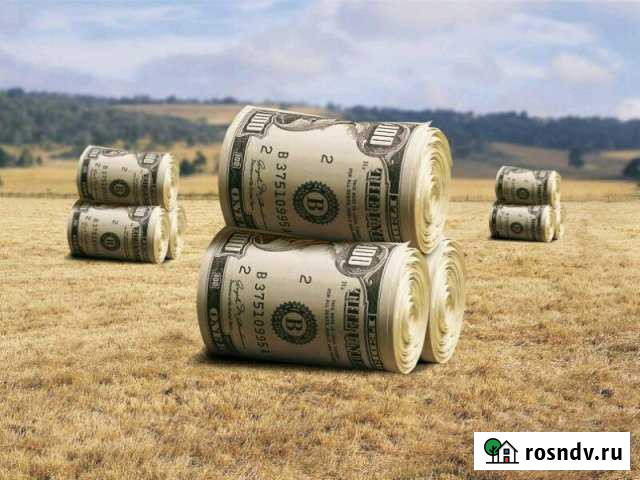 Участок СНТ, ДНП 360 сот. на продажу в Янтарном Янтарный - изображение 1