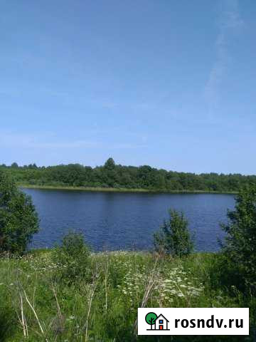 Участок ИЖС 110 сот. на продажу в Велиже Велиж - изображение 1