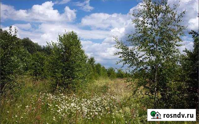 Участок СНТ, ДНП 242 сот. на продажу в Приморске Ленинградской области Приморск - изображение 1