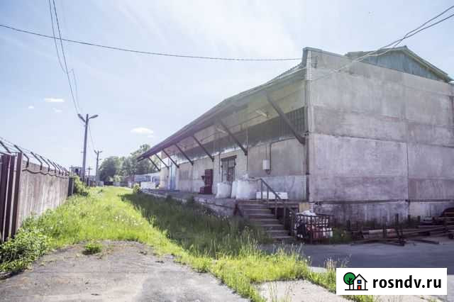 Помещение свободного назначения, 432 кв.м. Тайцы - изображение 1