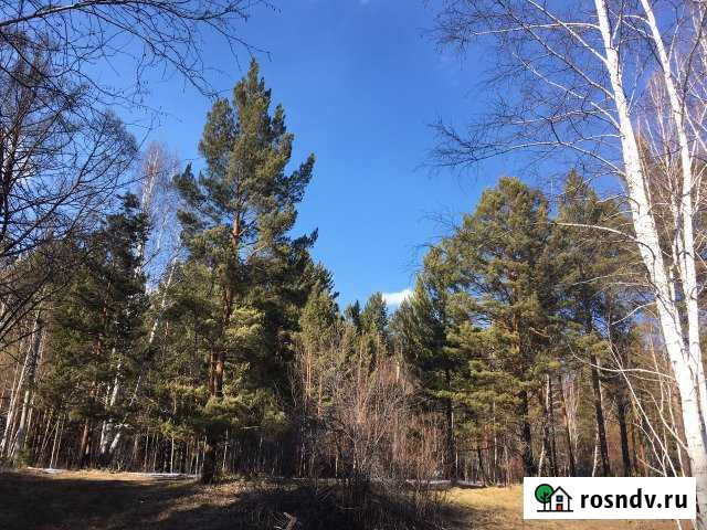 Участок СНТ, ДНП 11 сот. на продажу в Большом Лугу Большой Луг - изображение 1