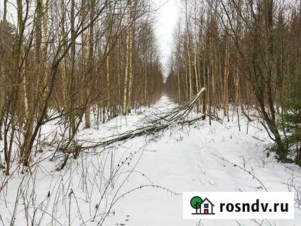 Участок СНТ, ДНП 3020 сот. на продажу в Вырице Вырица - изображение 1