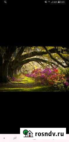 Участок ИЖС 10 сот. на продажу в Старых Атагах Старые Атаги - изображение 1